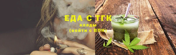 хмурый Арсеньев