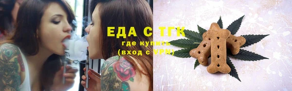 хмурый Арсеньев