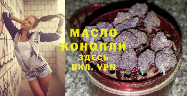хмурый Арсеньев