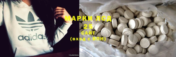 хмурый Арсеньев