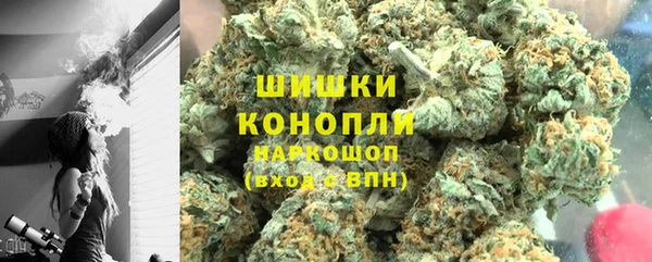 хмурый Арсеньев