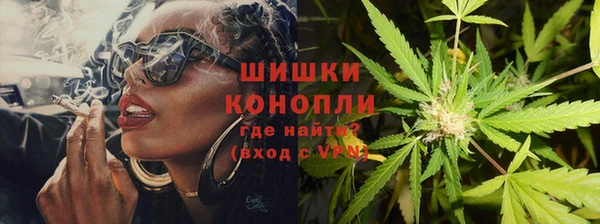 хмурый Арсеньев