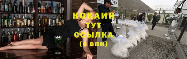 хмурый Арсеньев