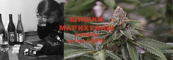 хмурый Арсеньев