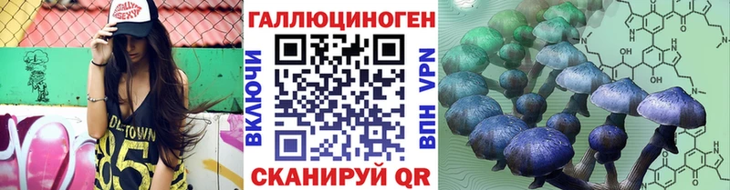 darknet формула  Сафоново  Псилоцибиновые грибы Psilocybine cubensis 